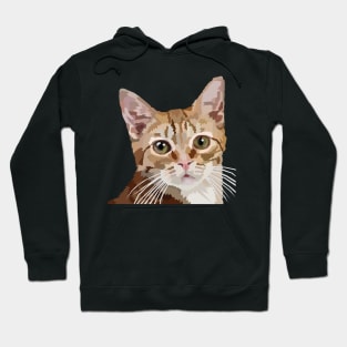 Orange Tabby Hoodie